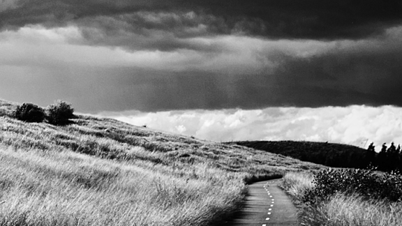 Pain free, purposeful procurement